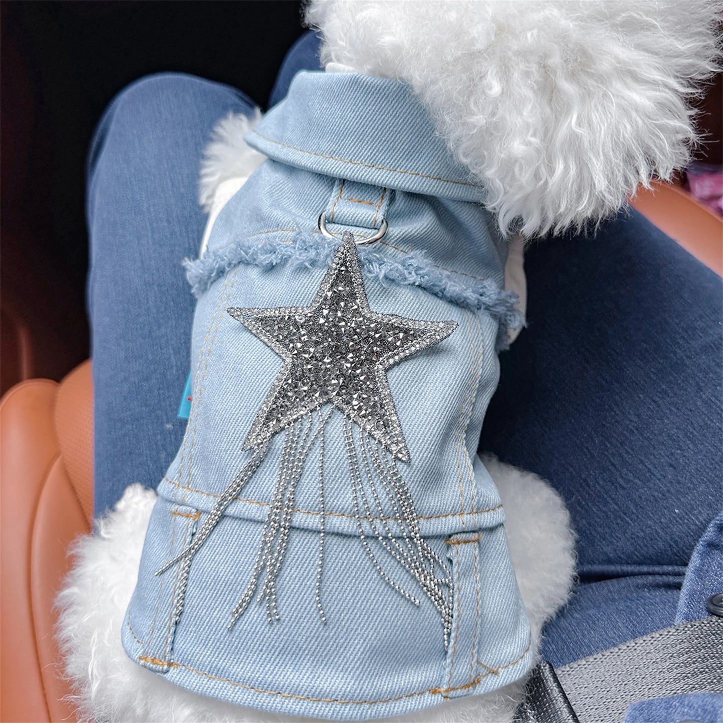 Pet Denim Jacket