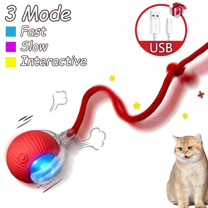 Rechargeable Cat Interactive Ball 2 piece