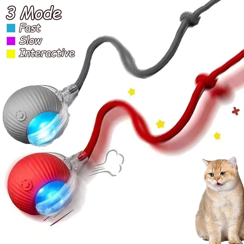 Rechargeable Cat Interactive Ball 2 piece