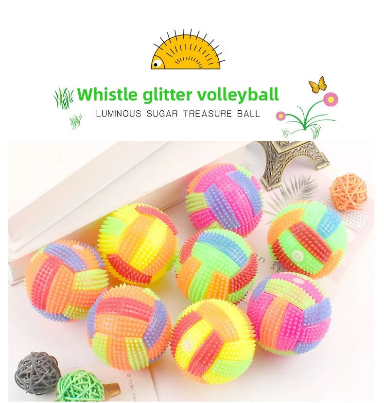 Glowing Ball Dog Toy