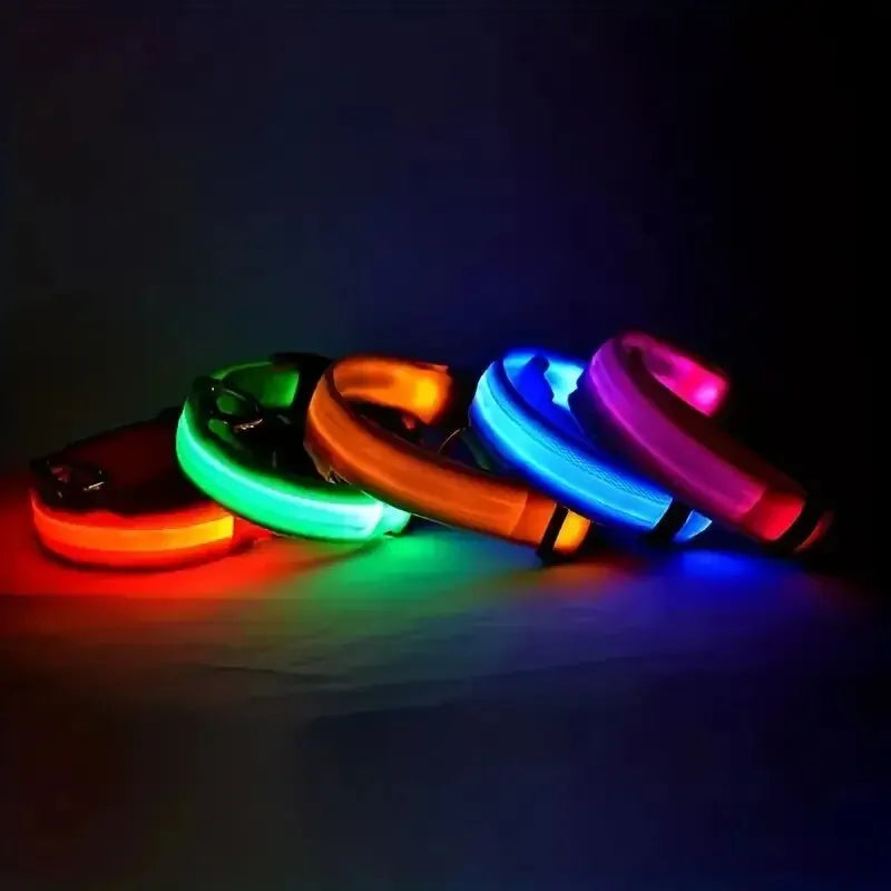 Nylon LED Night Safety Glow In The Dark Dog Collar