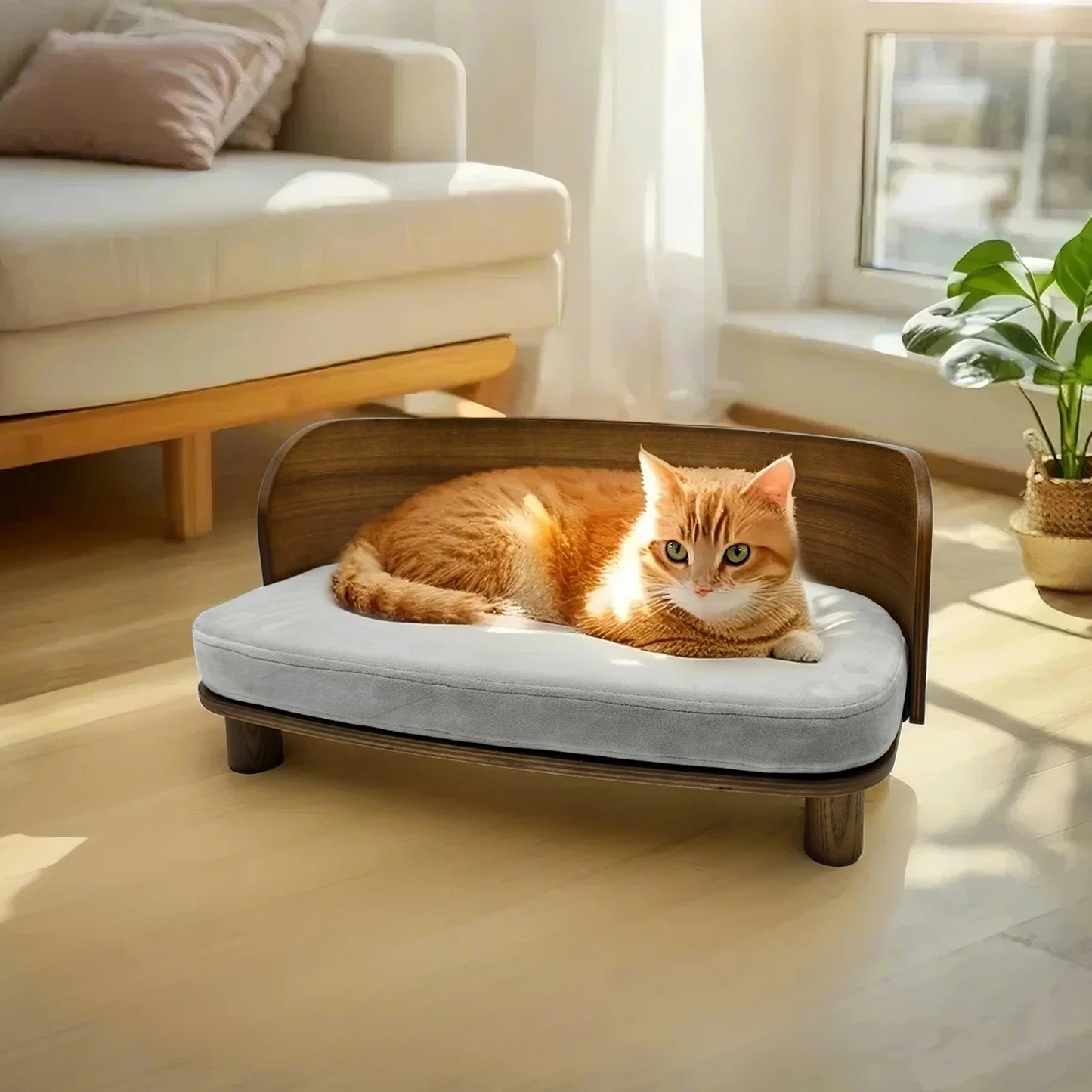 BingoPaw Elevated Cat Bed