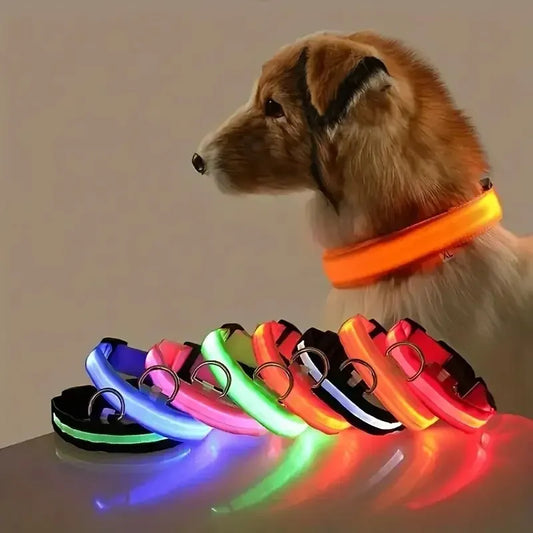 Nylon LED Night Safety Glow In The Dark Dog Collar