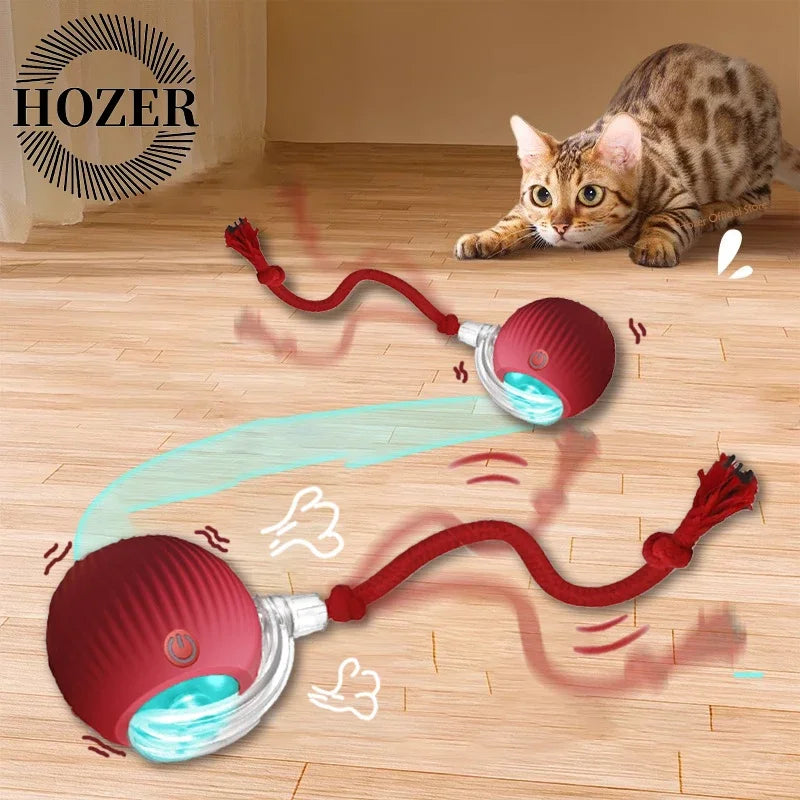Rechargeable Cat Interactive Ball 2 piece