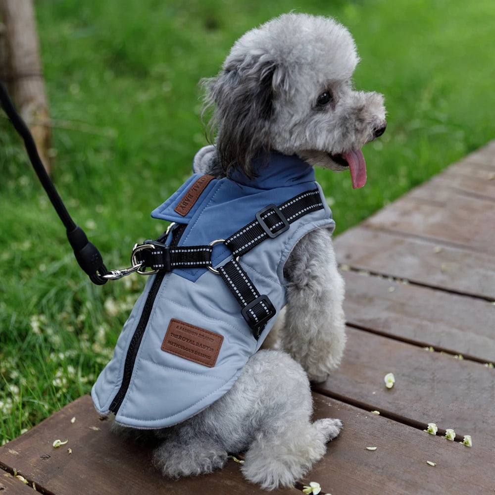 Waterproof Dog Jacket With Harness