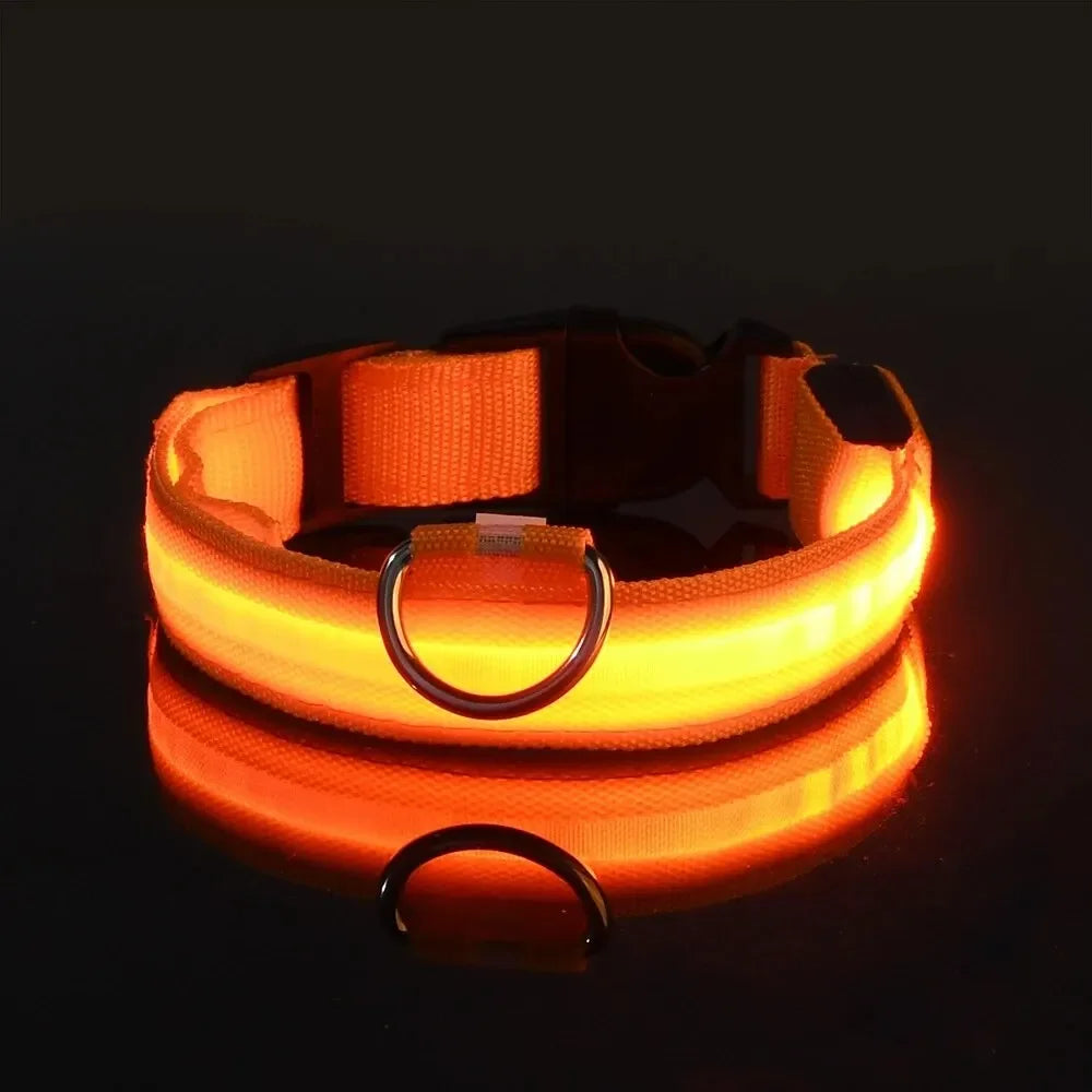 Nylon LED Night Safety Glow In The Dark Dog Collar