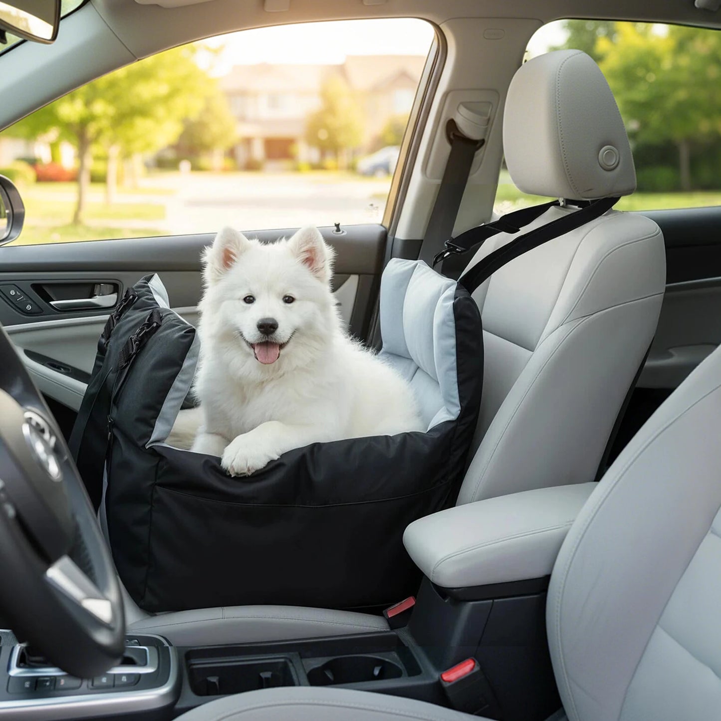 Car Seat and Carrier for Small Dogs