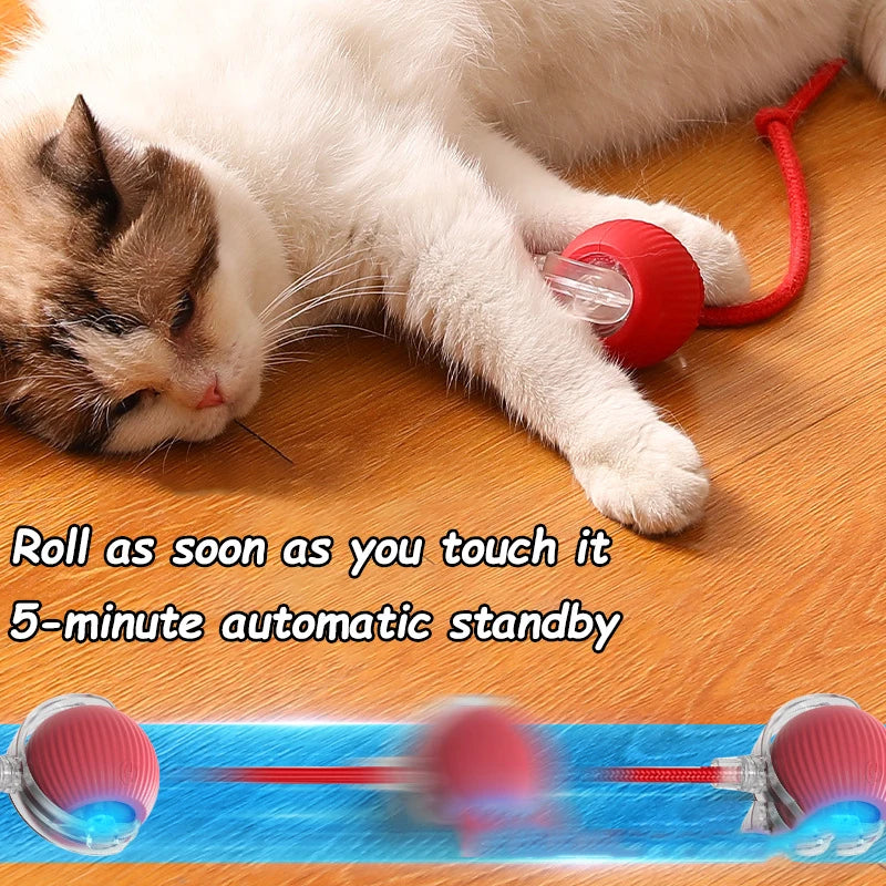 Rechargeable Cat Interactive Ball 2 piece