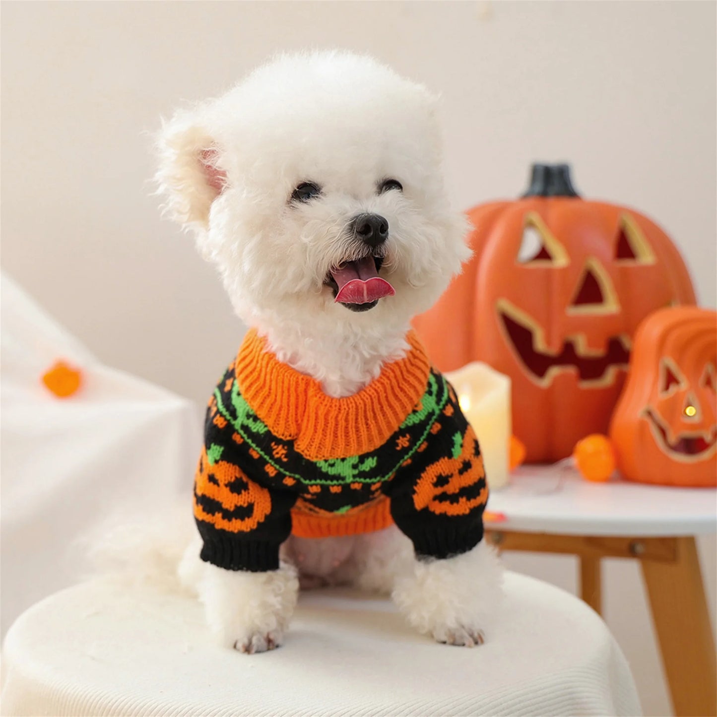 Pet Halloween Jack-O-Lantern Costume