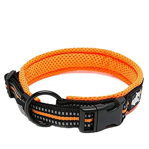 Truelove Pet Dog Collar