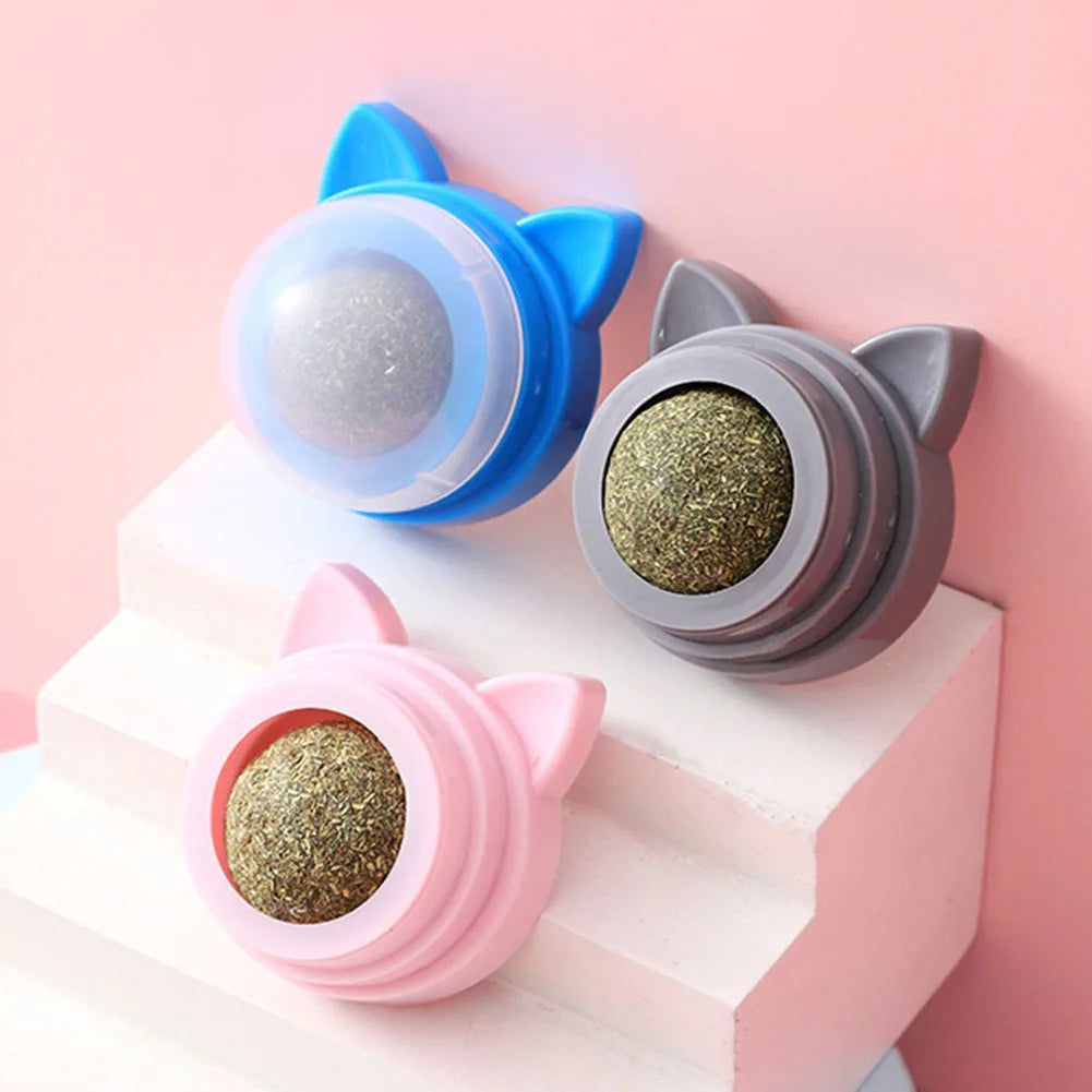 Rotatable Catnip Molar Stick Cat Cleaning Toy