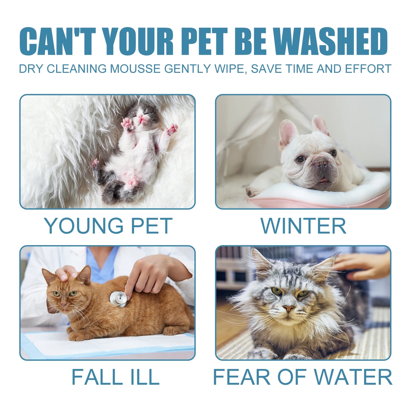 Pet Dry Cleaning Shampoo