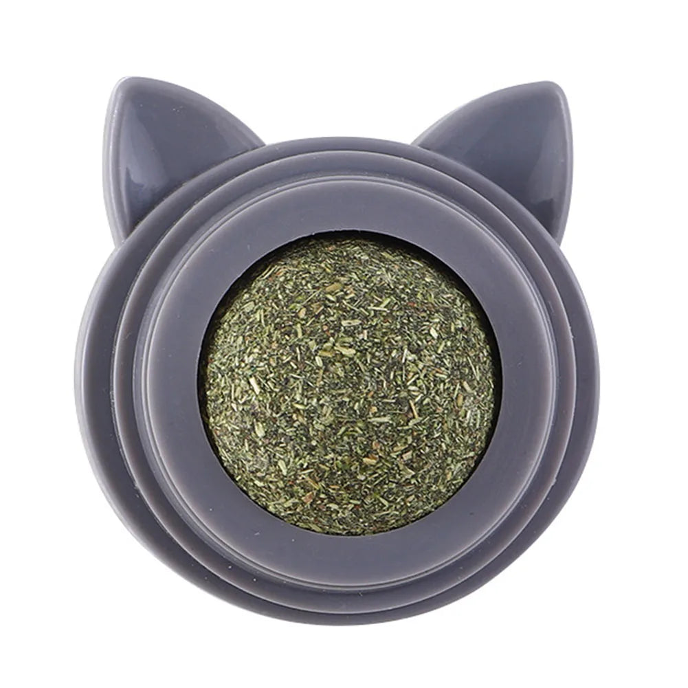 Rotatable Catnip Molar Stick Cat Cleaning Toy