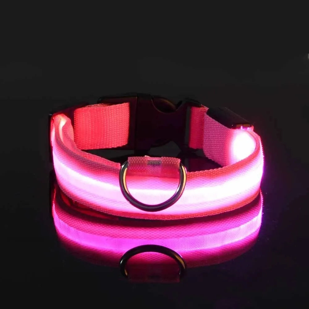 Nylon LED Night Safety Glow In The Dark Dog Collar