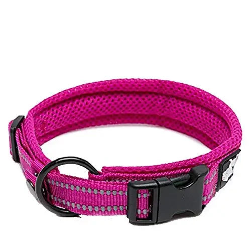 Truelove Pet Dog Collar