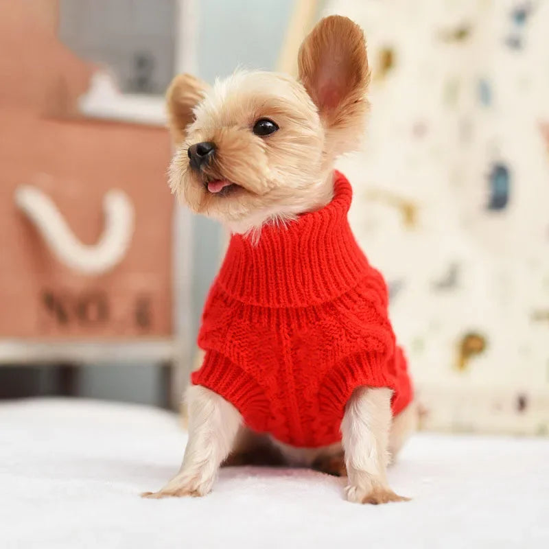 Small Dog Knitted Sweater