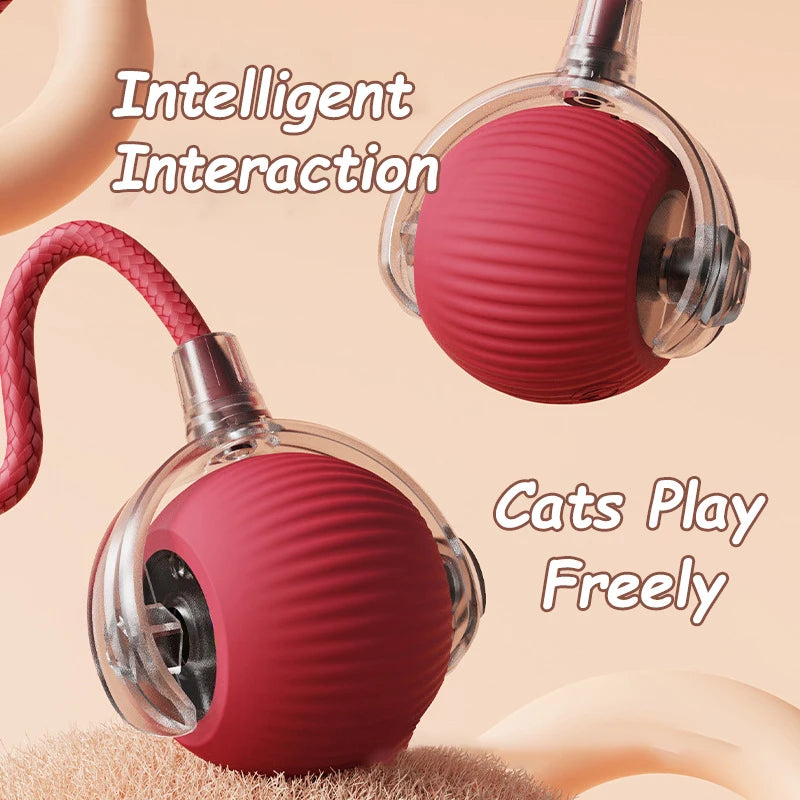 Rechargeable Cat Interactive Ball 2 piece