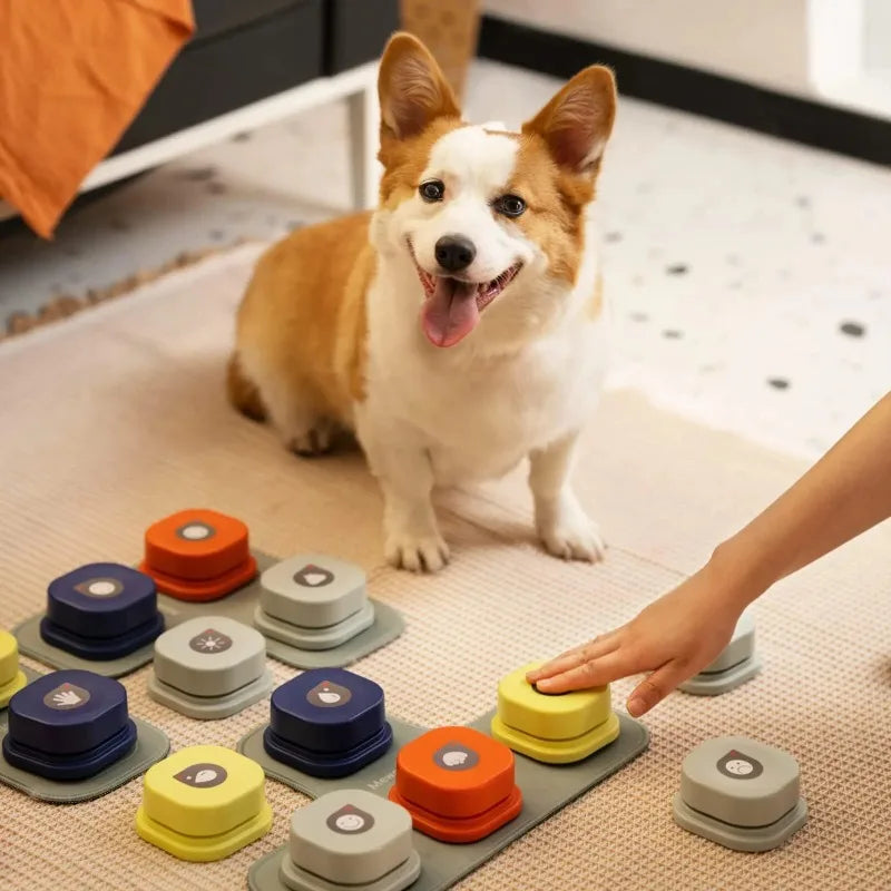 Interactive Pet Training Game Set