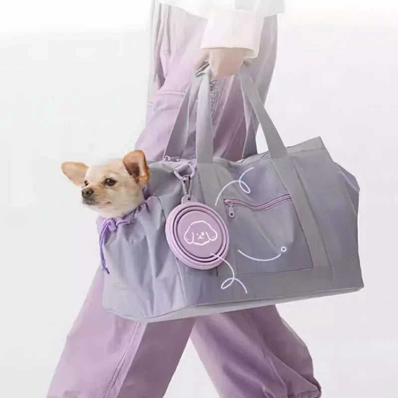 Portable Collapsing Pet Food and Water Bowl