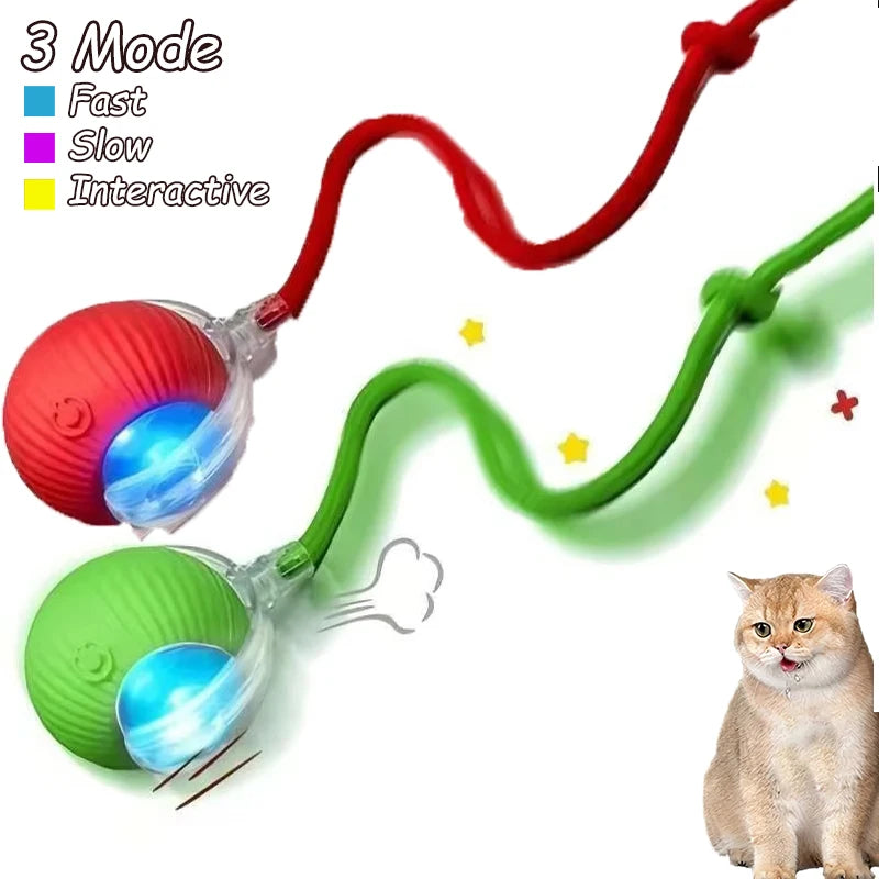 Rechargeable Cat Interactive Ball 2 piece