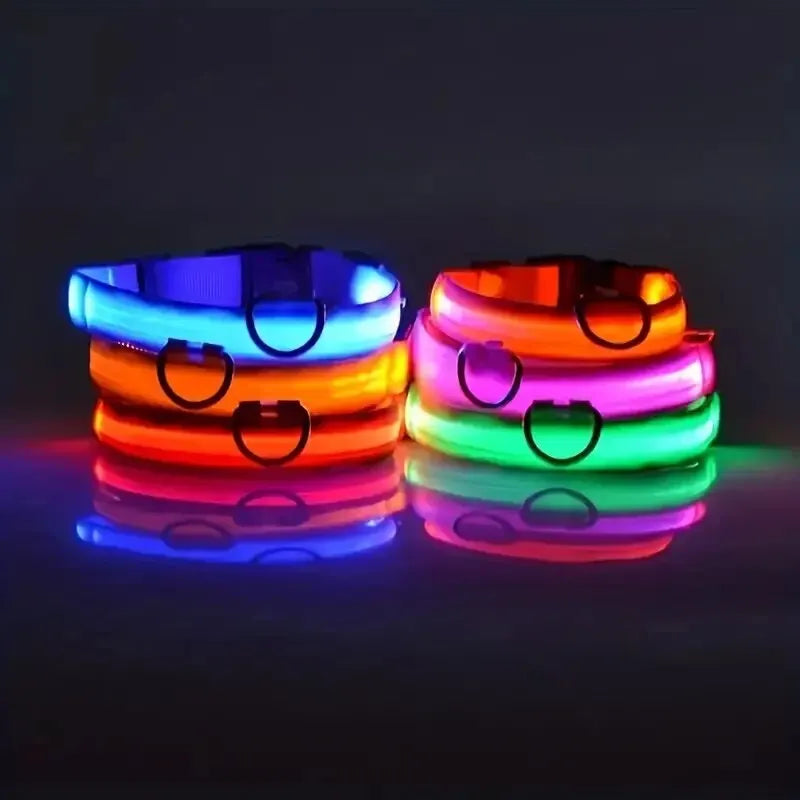 Nylon LED Night Safety Glow In The Dark Dog Collar