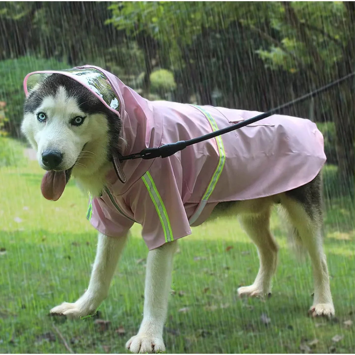 Designers Big Dog Raincoat With Zipper and Hood