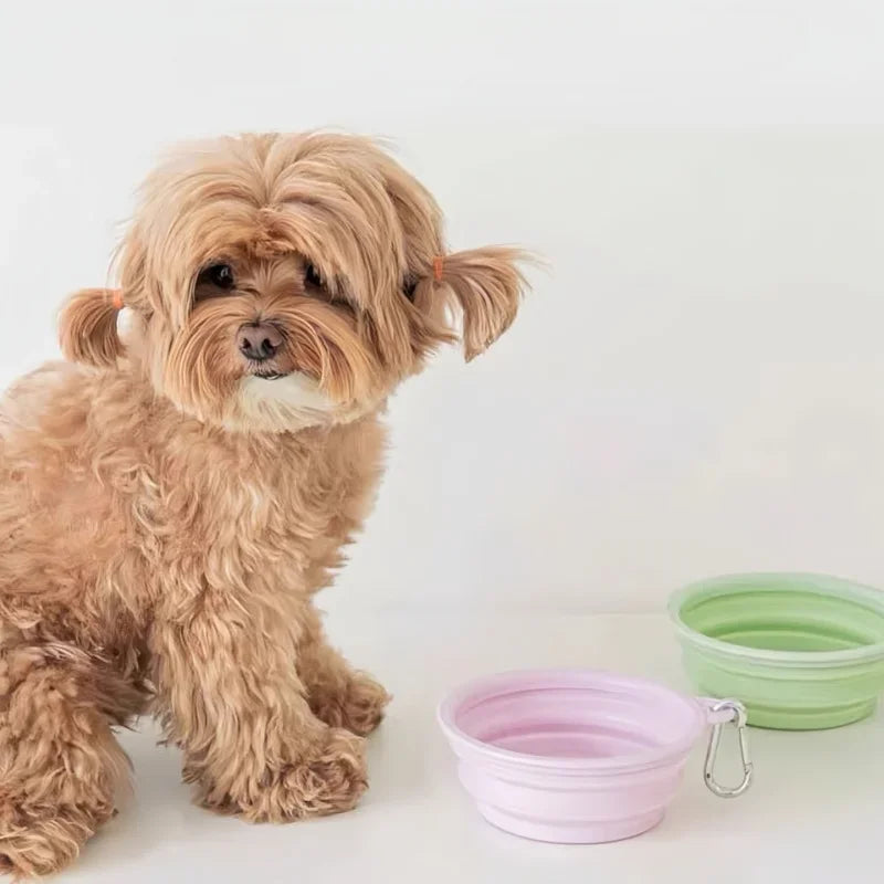 Portable Collapsing Pet Food and Water Bowl