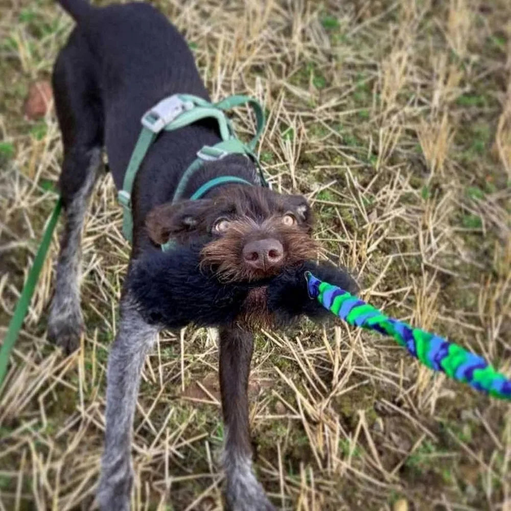 Tug-E-Nuff Bungee Tug Toy