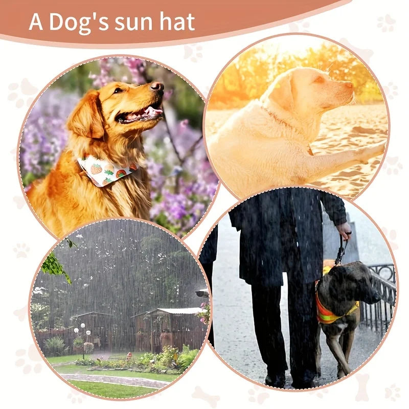 PVC Dog Sun Hat