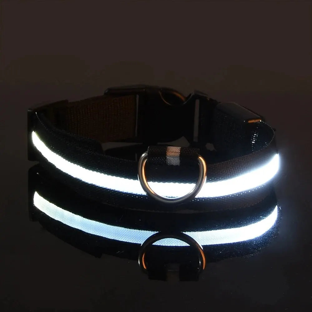 Nylon LED Night Safety Glow In The Dark Dog Collar