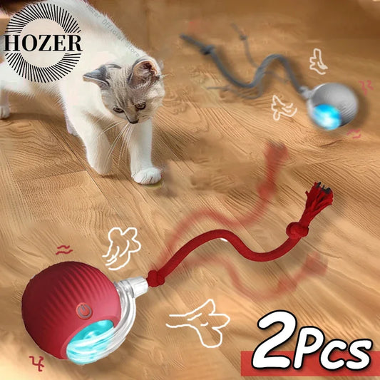 Rechargeable Cat Interactive Ball 2 piece