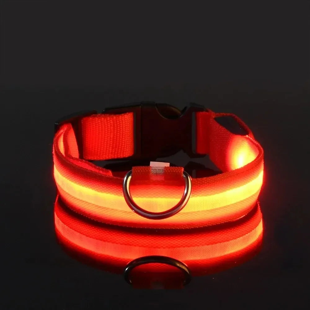 Nylon LED Night Safety Glow In The Dark Dog Collar