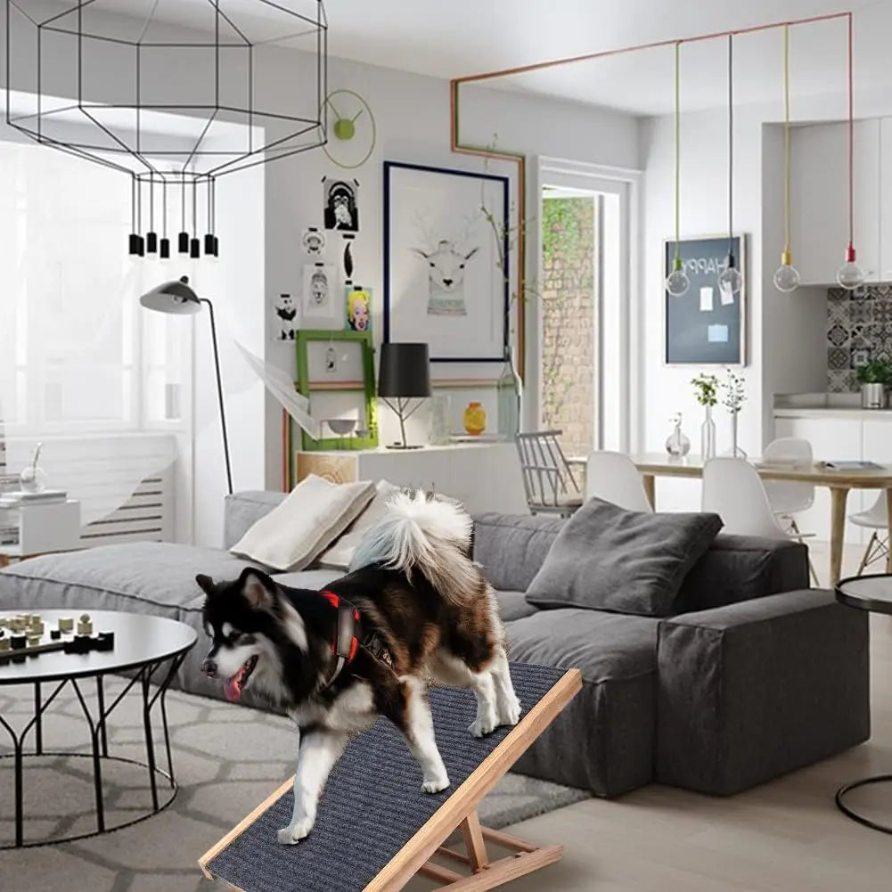 Adjustable Pet Dog Ramp