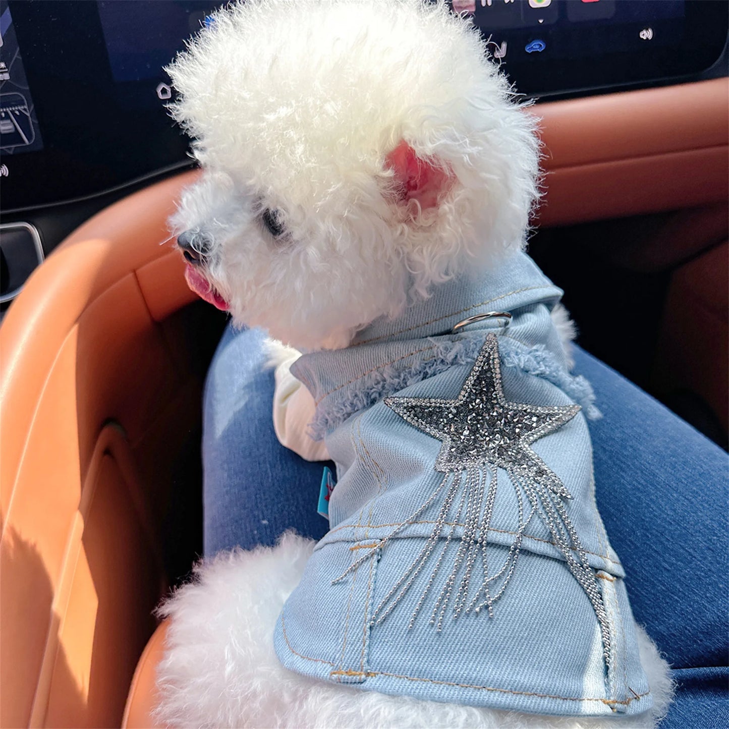 Pet Denim Jacket