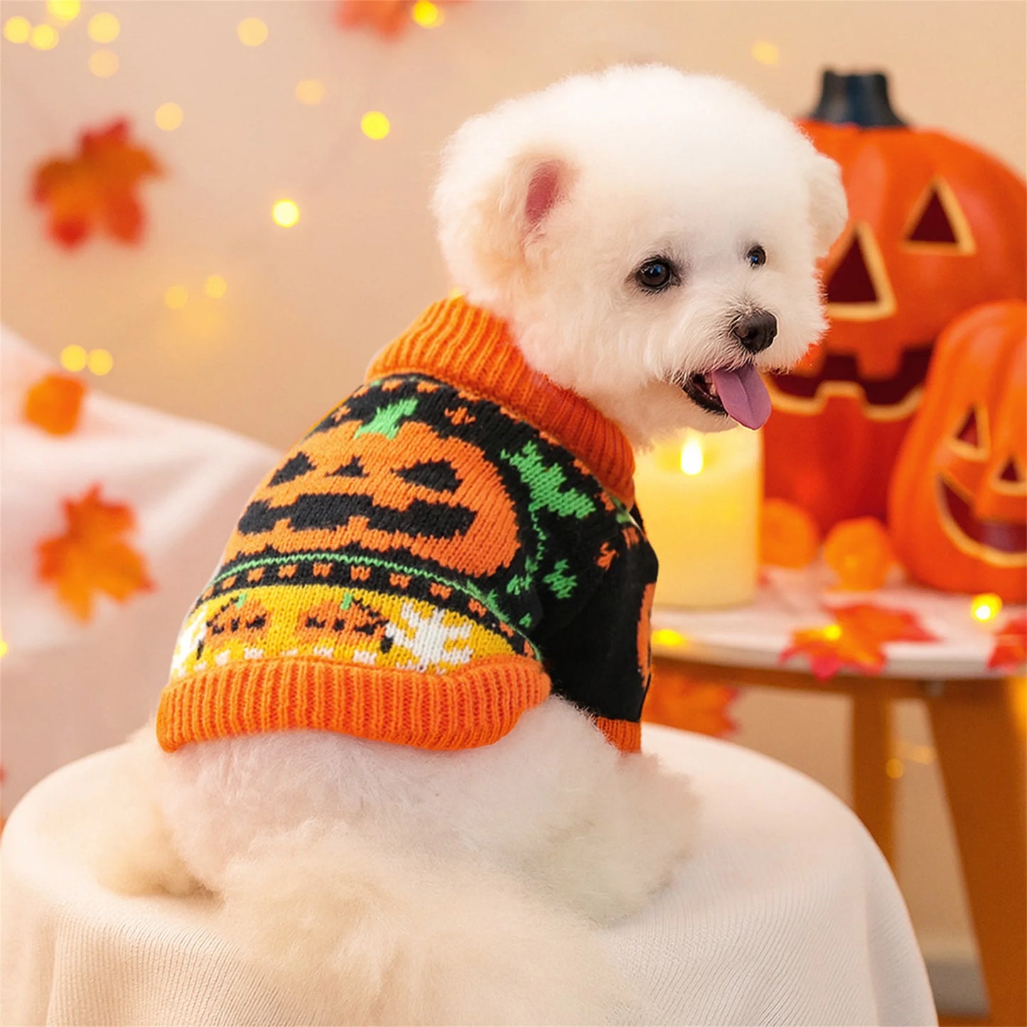 Pet Halloween Jack-O-Lantern Costume