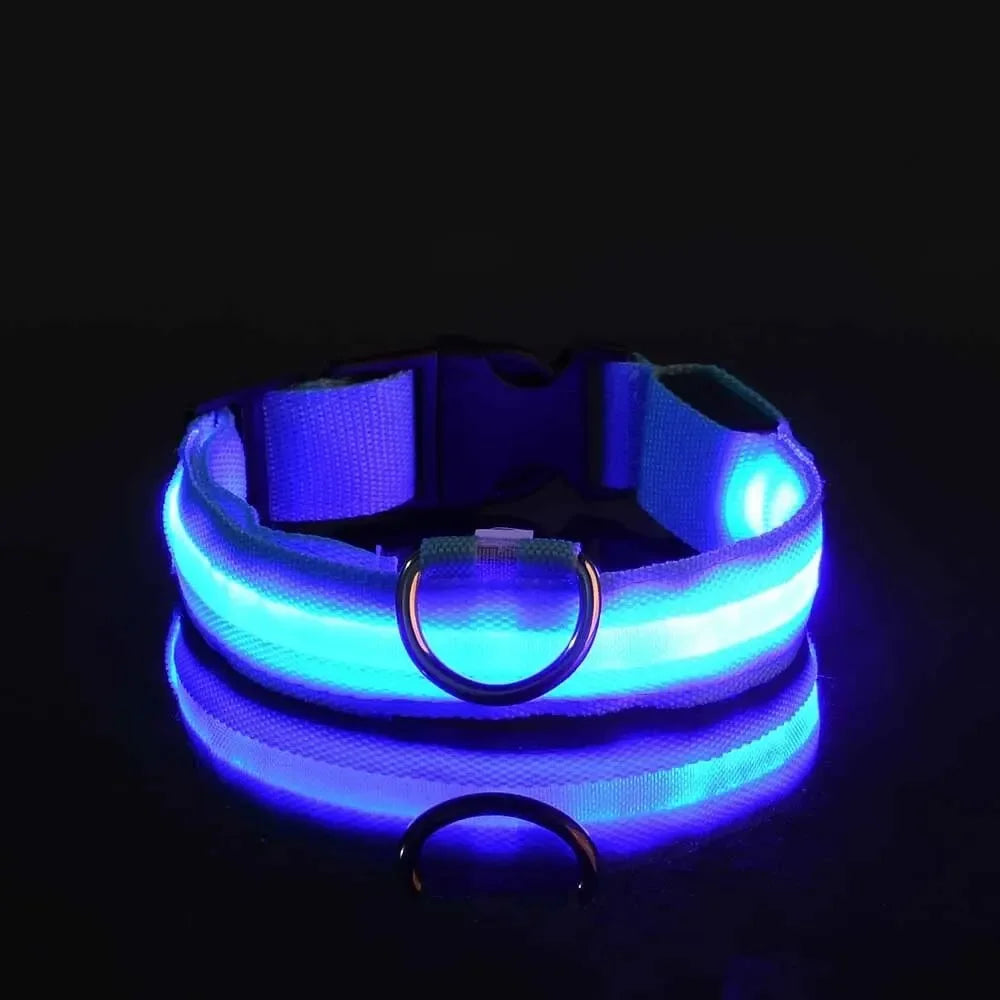 Nylon LED Night Safety Glow In The Dark Dog Collar