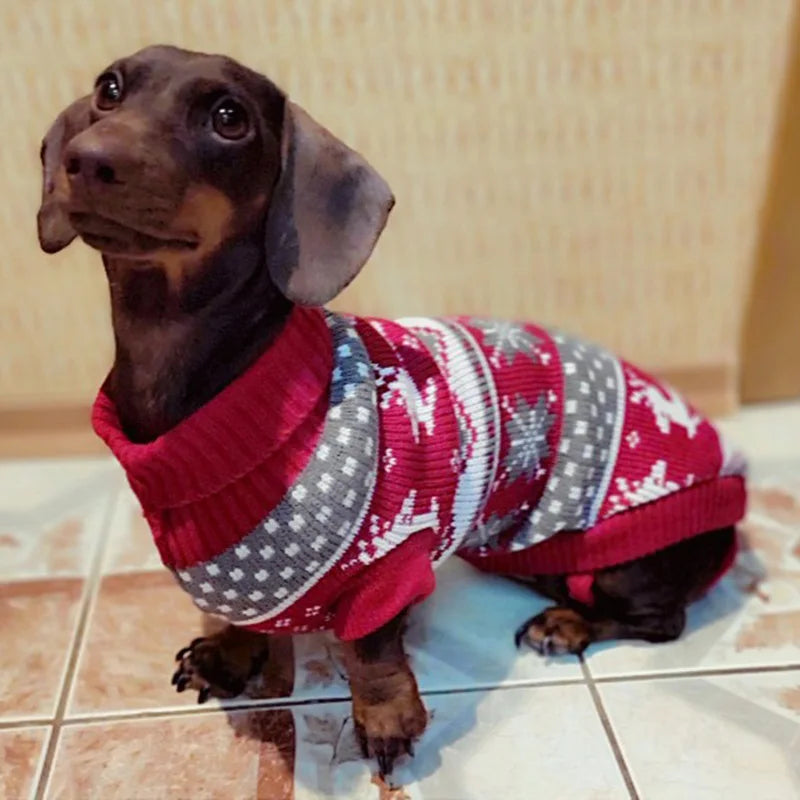 Cute Dog Pullover Sweater