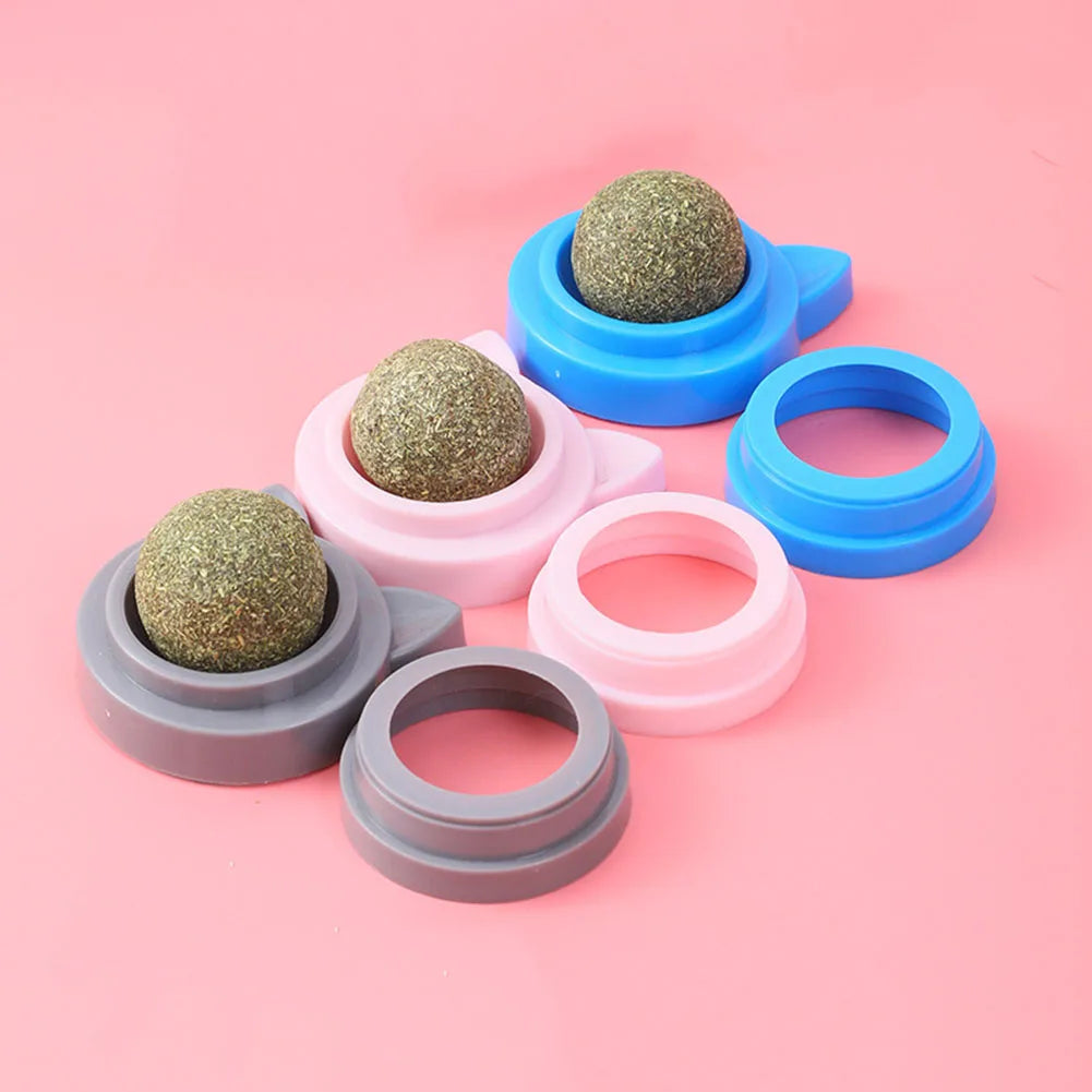 Rotatable Catnip Molar Stick Cat Cleaning Toy