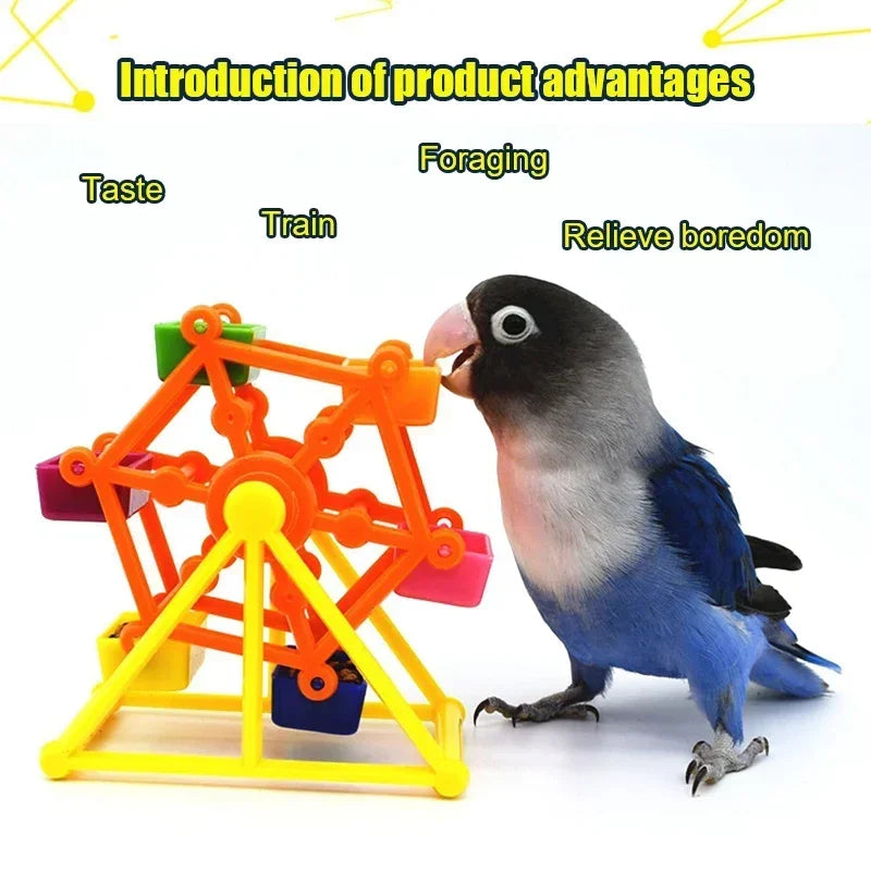 Pinwheel Foraging Bird Feeding Toy