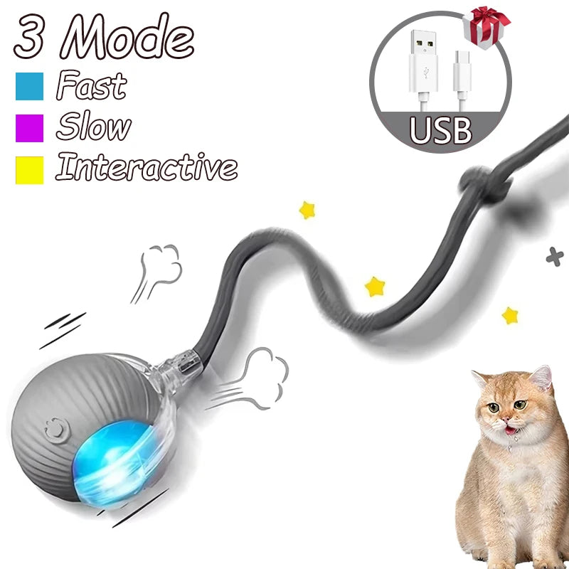 Rechargeable Cat Interactive Ball 2 piece