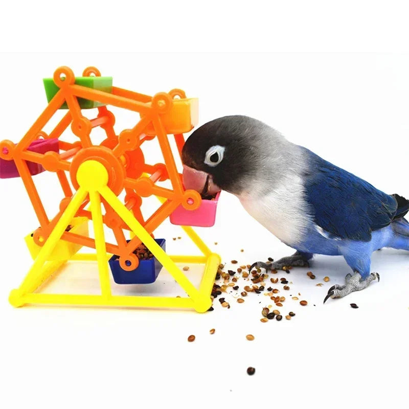 Pinwheel Foraging Bird Feeding Toy