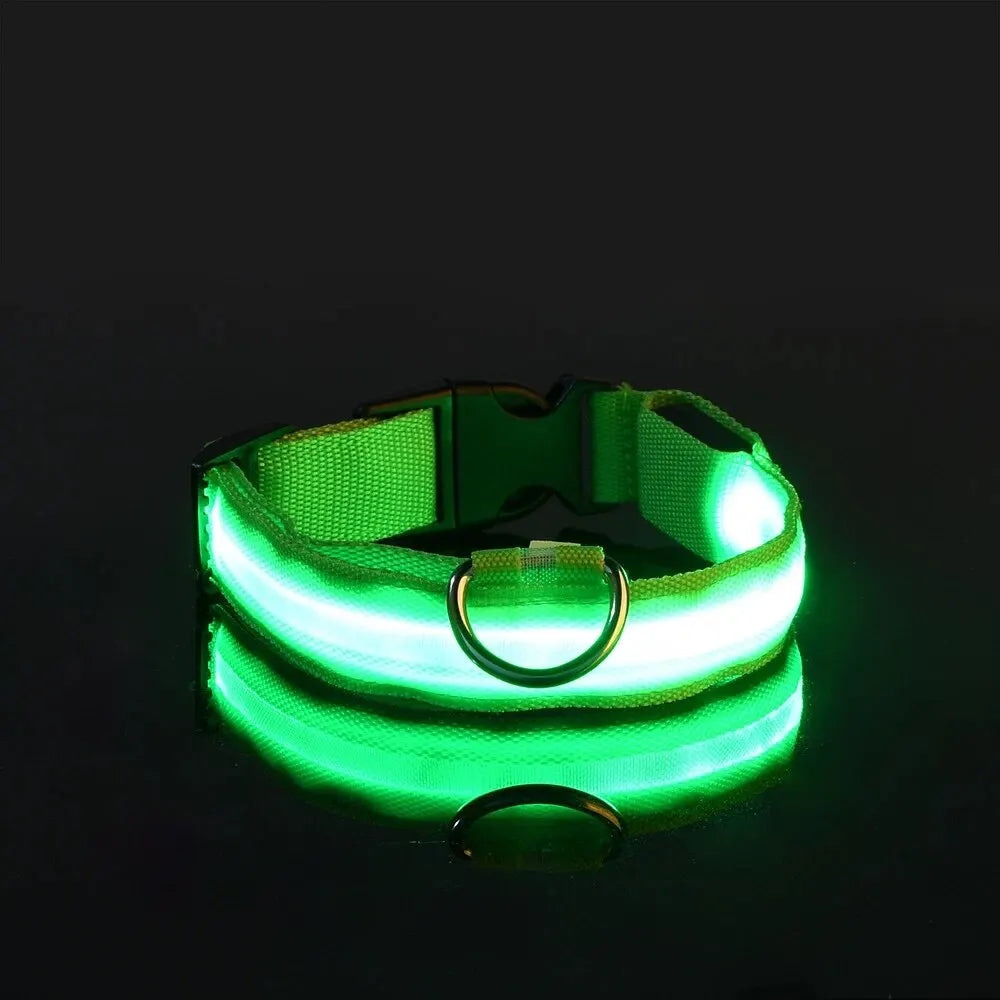 Nylon LED Night Safety Glow In The Dark Dog Collar