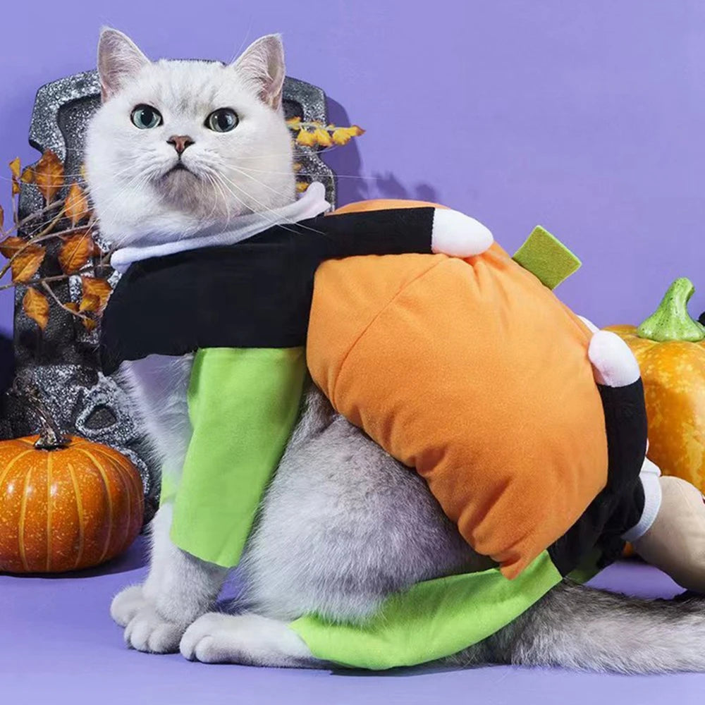 Funny Pet Cosplay Costume